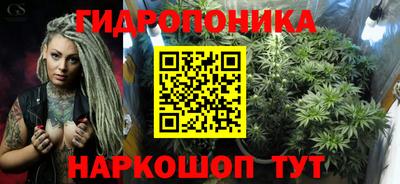 СК Рязань