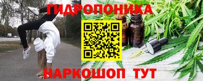 СК Рязань