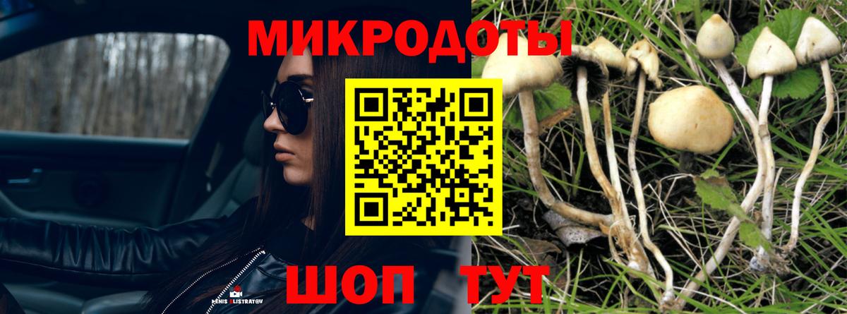 Псилоцибиновые грибы прущие грибы  как найти наркотики  Псков  Вход с VPN 