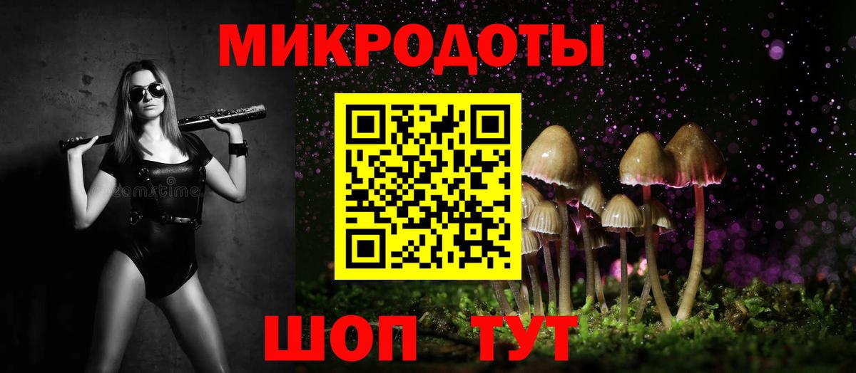 Галлюциногенные грибы прущие грибы Псков