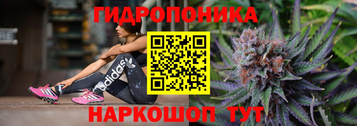 Псков  Канабис семена  Вход с VPN  Бошки марихуана гибрид  Бошки марихуана планчик 
